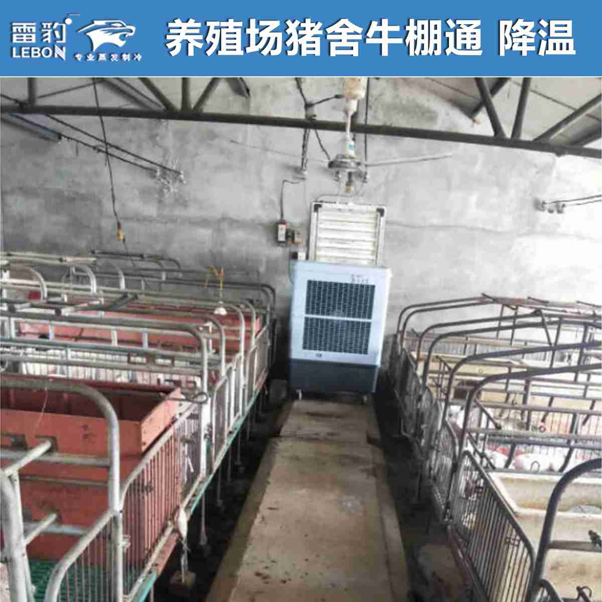 z6尊龙凯时移动冷风机MFC18000D 养殖场猪舍牛棚通风降温